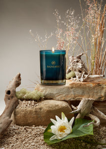 Single 10.5oz Balneario Luxury Soy-Coconut Candle in teal glassware, with a flame on stones, surrounded by Coastal-scented ingredients.