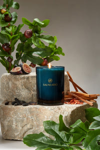 Single 10.5oz Balneario Luxury Soy-Coconut Candle in teal glassware, with a flame on stones, surrounded by Laconia-scented ingredients.