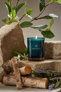 Single 10.5oz Balneario Luxury Soy-Coconut Candle in teal glassware, with a flame on stones, surrounded by Temazcal-scented ingredients.