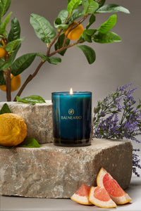 Single 10.5oz Balneario Luxury Soy-Coconut Candle in teal glassware, with a flame on stones, surrounded by Thermae-scented ingredients.