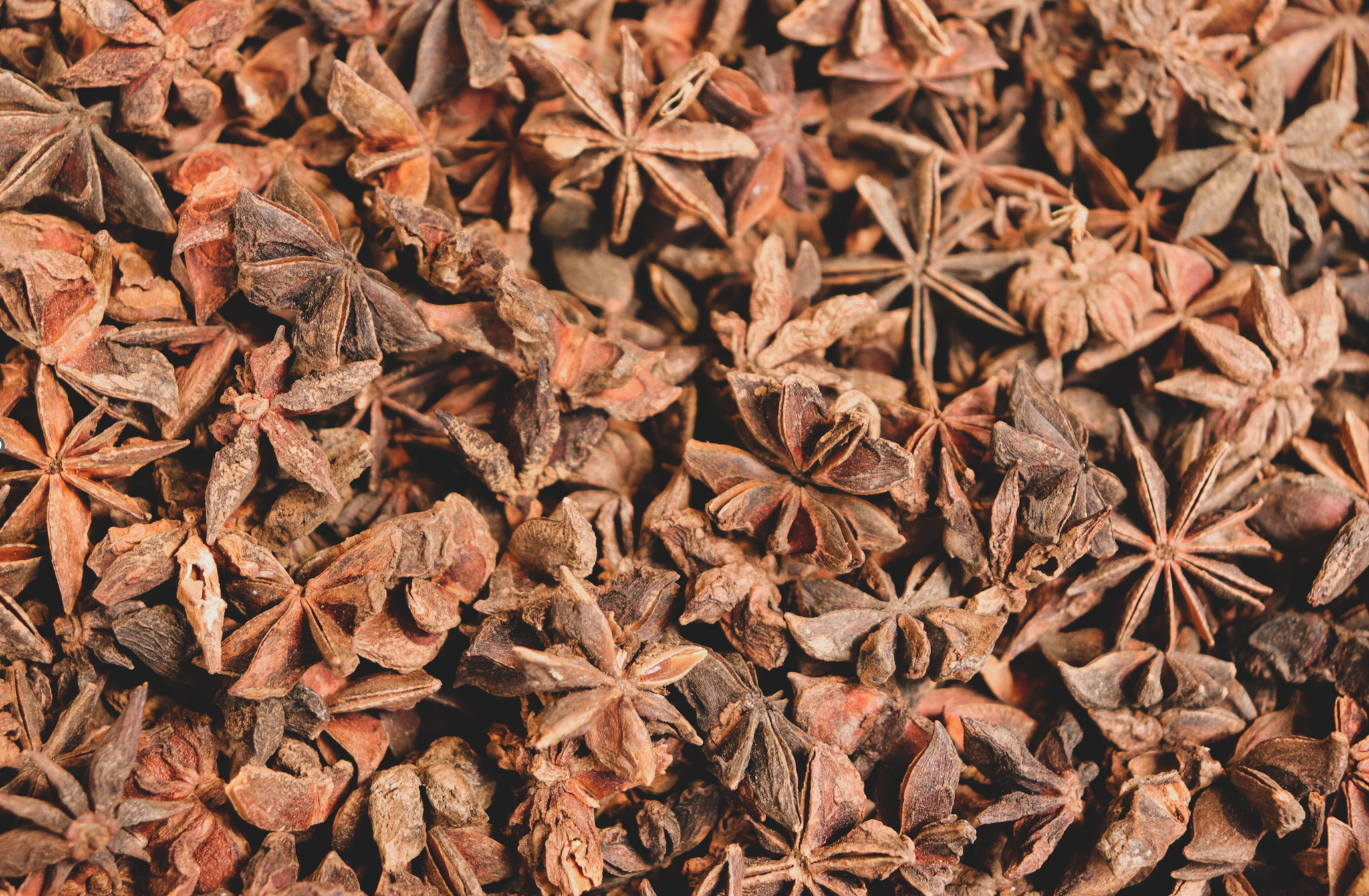 Close-up of star of anise, evoking the rich and spicy fragrance notes prominent in the Balneario Hammam candle