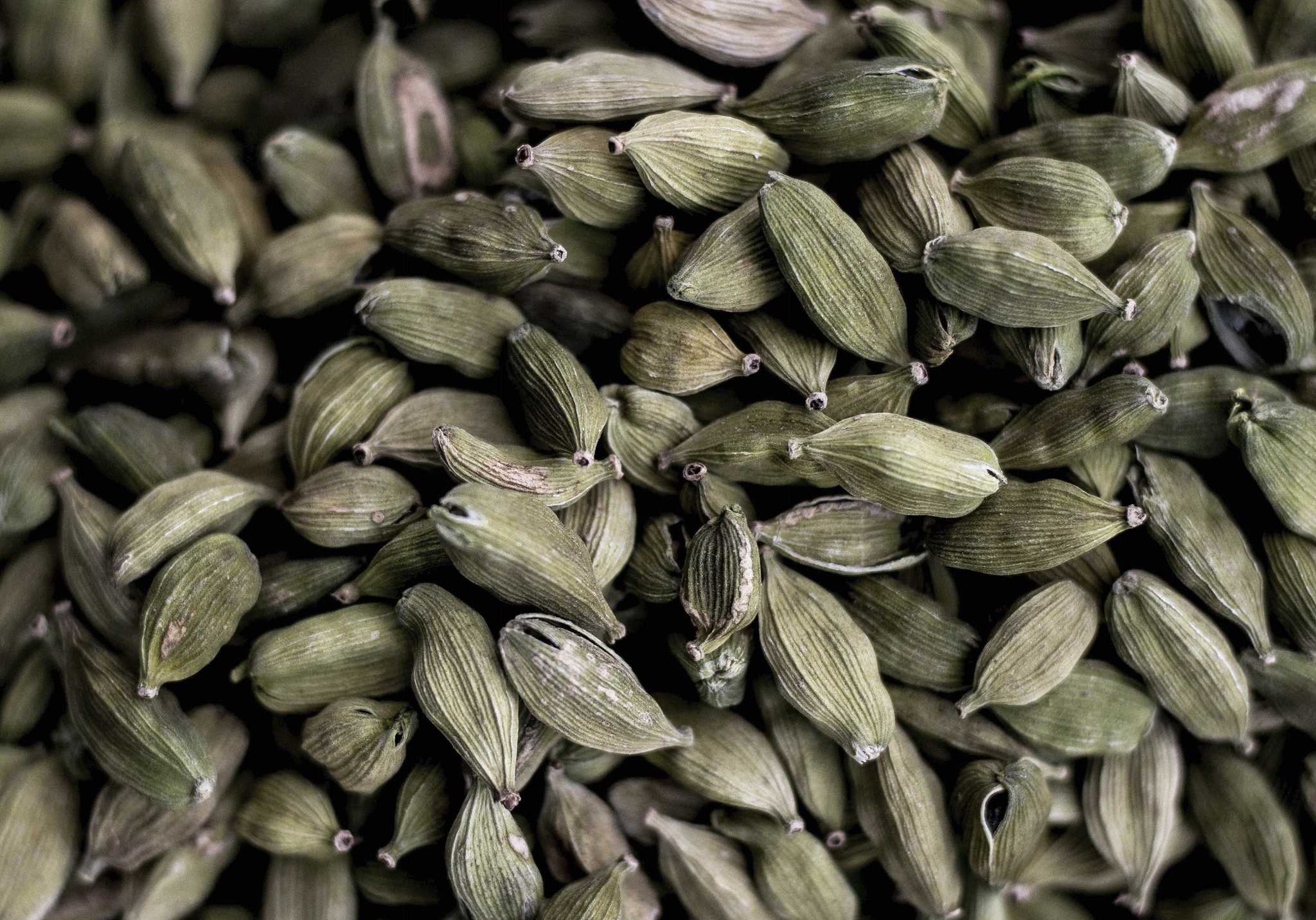 Close up of cardamom pods, evoking the woody & amber fragrance notes prominent in the Balneario Laconia candle 